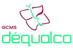 logo-gcsms-dc3a9calquo